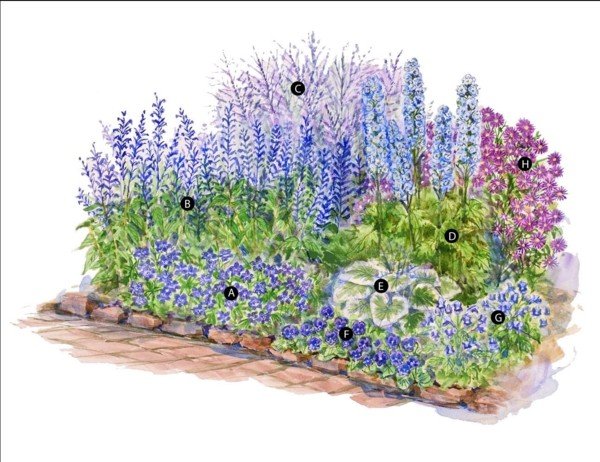 Pregătiți planul de grădină alocată pentru a descrie plantele