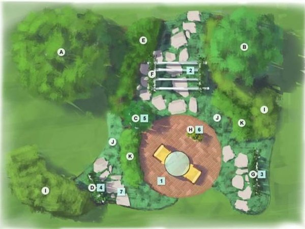 Planificarea grădinii vedere de sus a copacilor