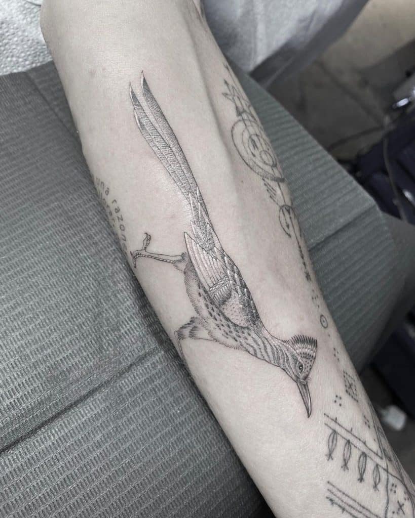 Disegni del tatuaggio dell'uccello di Scott Campell