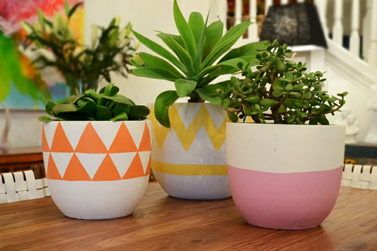 decorare vara ghivece de teracota pictura plante plante