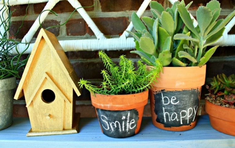 deco vase vase de lut argila tablă vopsea casă de păsări grădină suculente