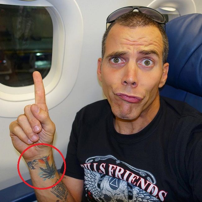 スティーブ・オ・パーム・ツリー