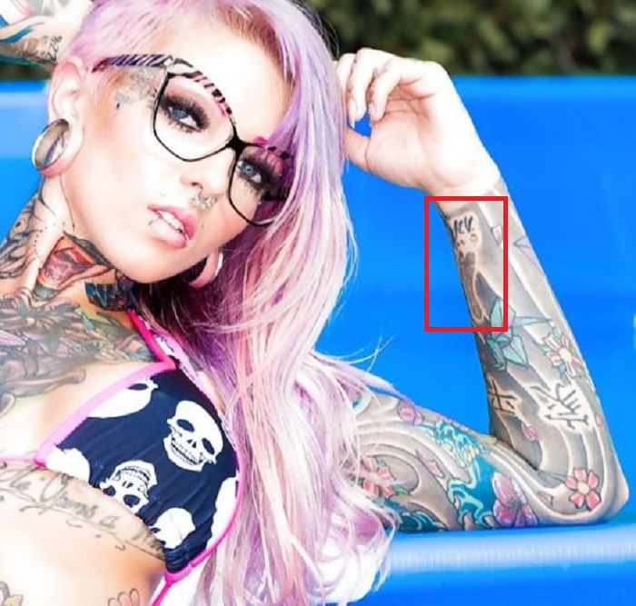 zglob tat sydnee začaran