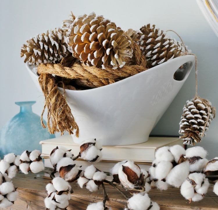 pinurile înălbesc frânghia de bumbac maritim iarna