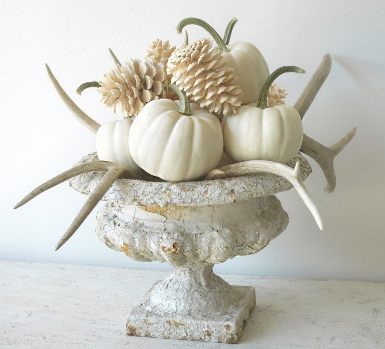 Conuri de pin decolorează dovleci albi decor de toamnă iarnă lemn de drift