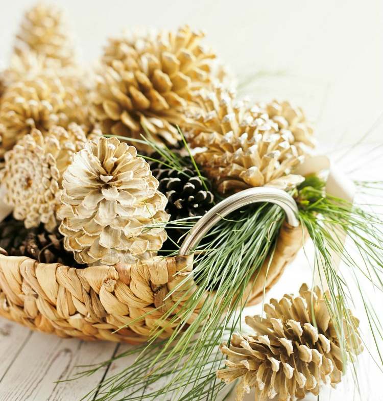 Bleach conuri de pin coș de răchită aranja idei