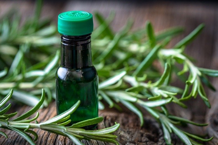 Uleiul de rozmarin poate contracara apatia mentală și îmbunătăți respirația