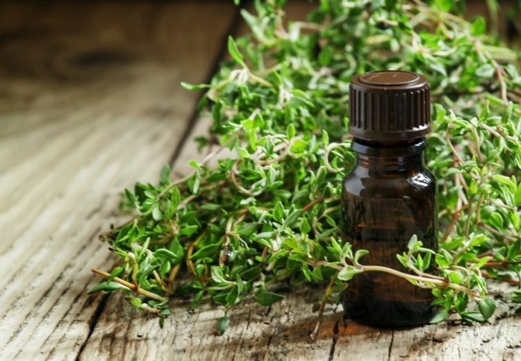 Uleiuri esențiale care întăresc sistemul imunitar sau inhibă virușii