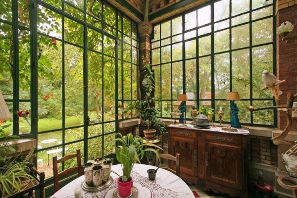 conservă plante în ghiveci obiecte de mobilier antic papagal grădină de iarnă plante în ghiveci obiecte antice papagal