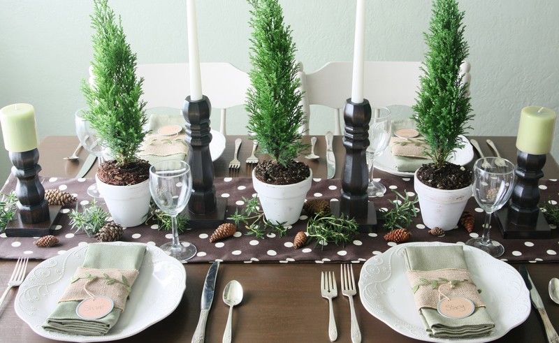 Rezultatul final este impresionant - decorațiuni de masă de Crăciun Decorarea mesei-Crăciun-purist-ghiveci-copac-chiparos-verde