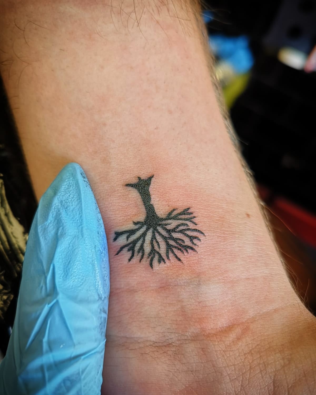 Bristol Tattoo Studio