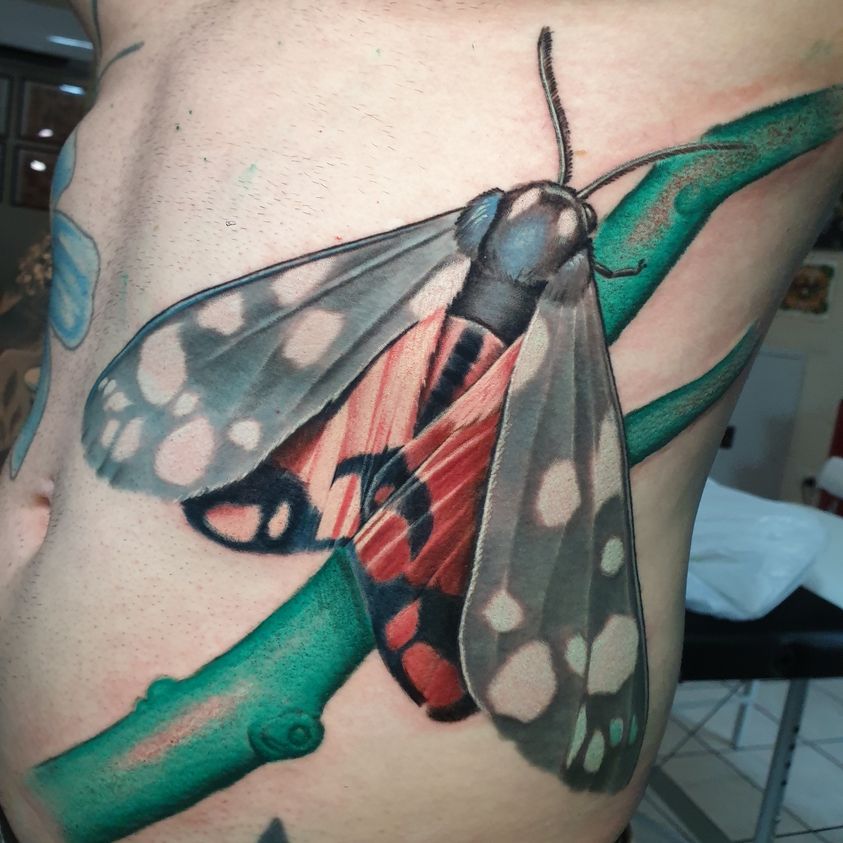 Tatuiruočių meistrai Hobarte