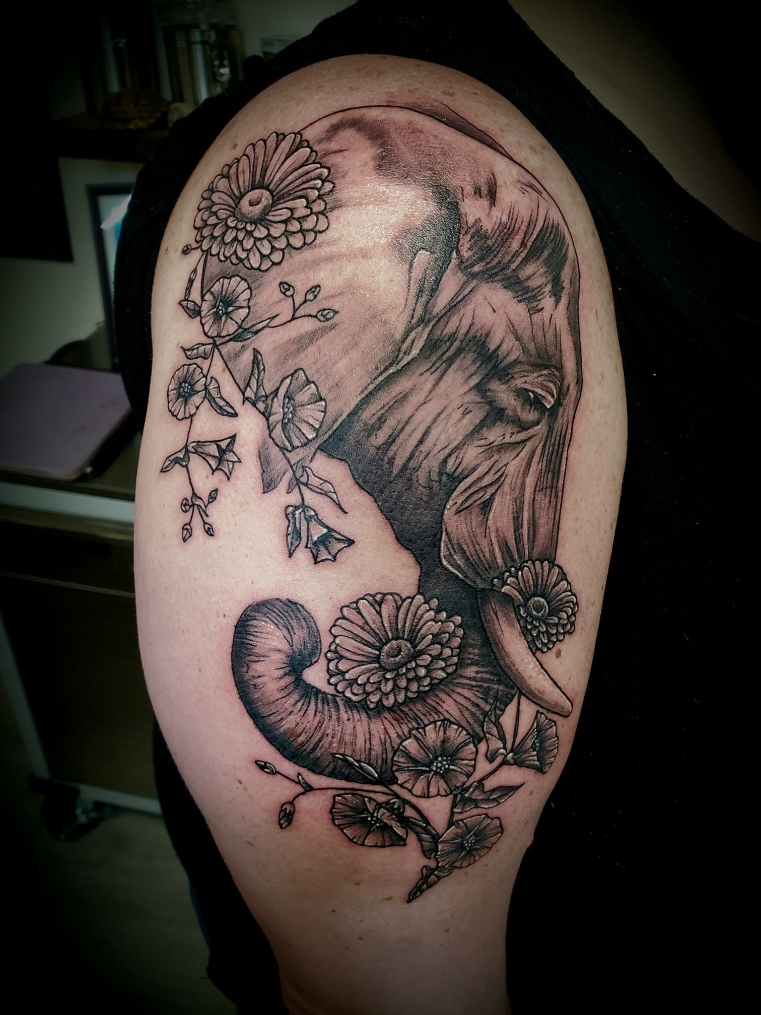 Tatuiruočių meistrai Hobarte