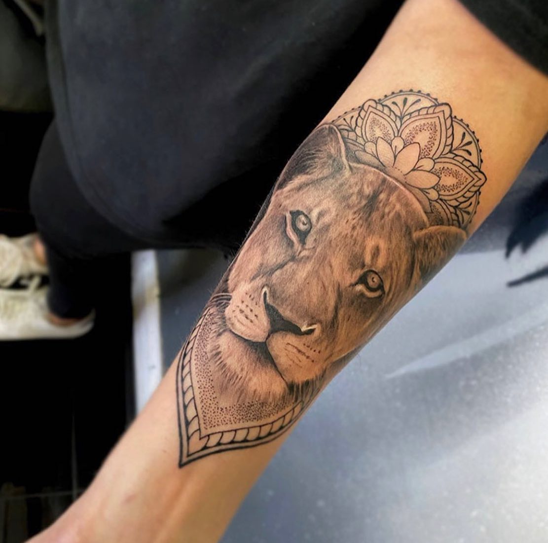 Umetniki tetovaže v Gold Coast, Queensland