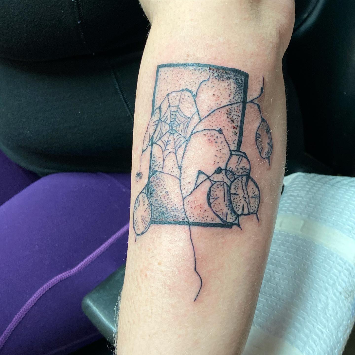 Melbourne Tattoo Studio