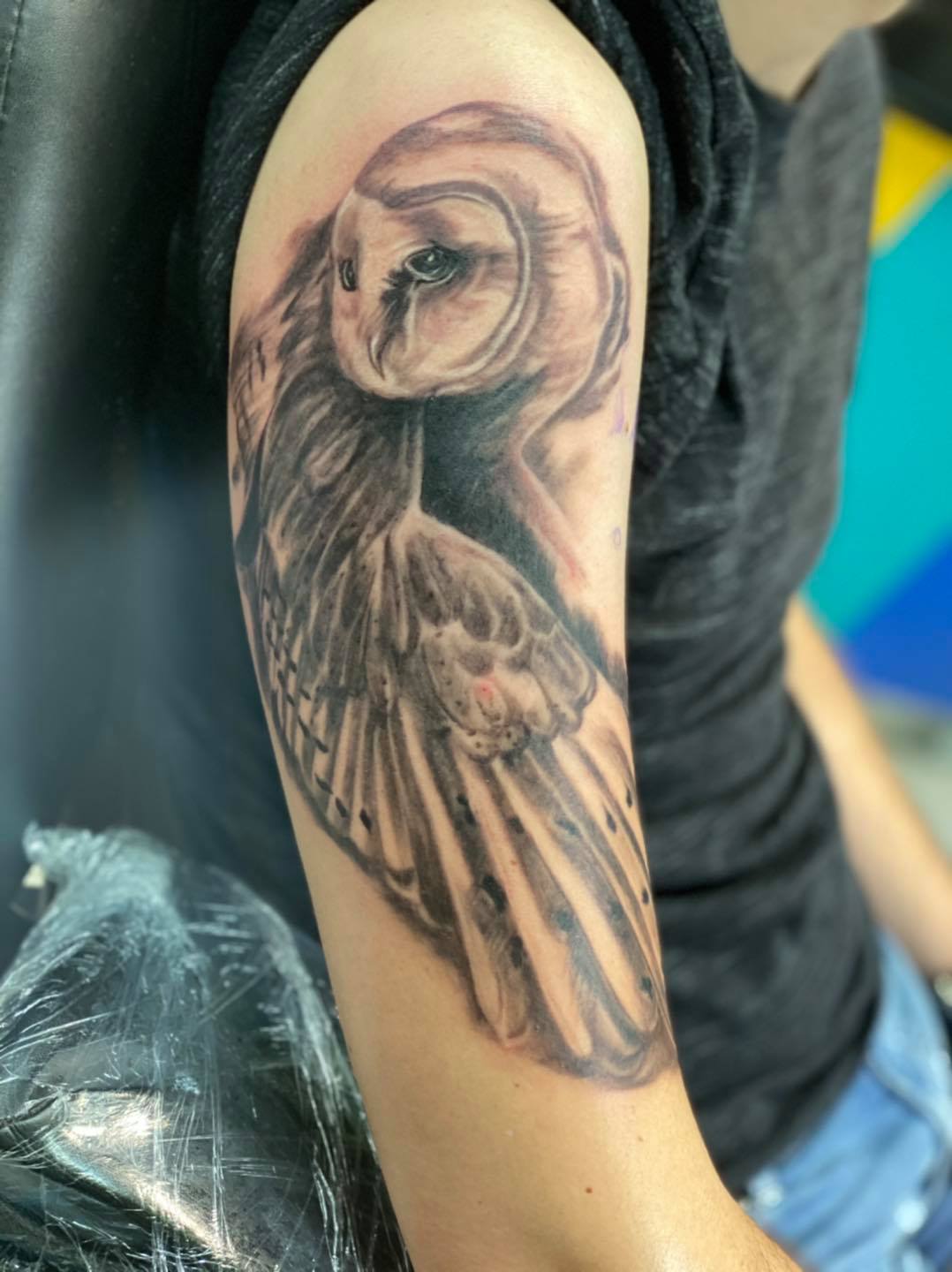 Tatuadores em Bundaberg