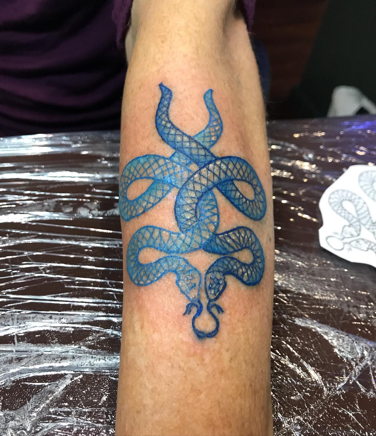 Tatuiruočių meistrai Launcestone