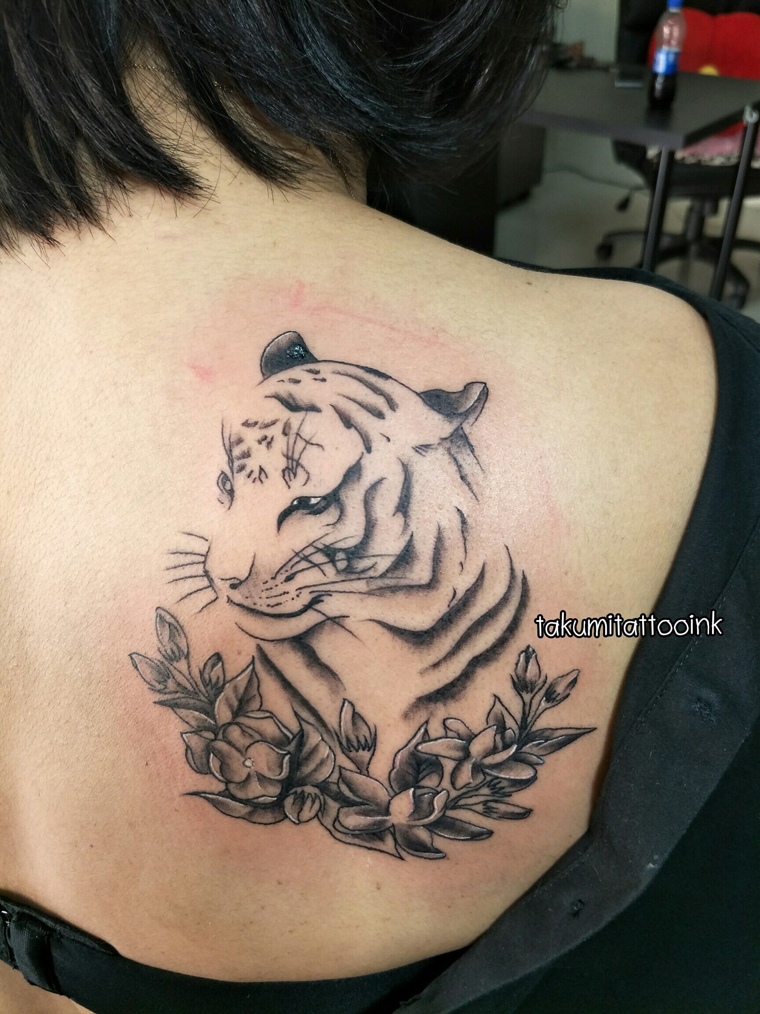 Tatuiruočių meistrai Launcestone