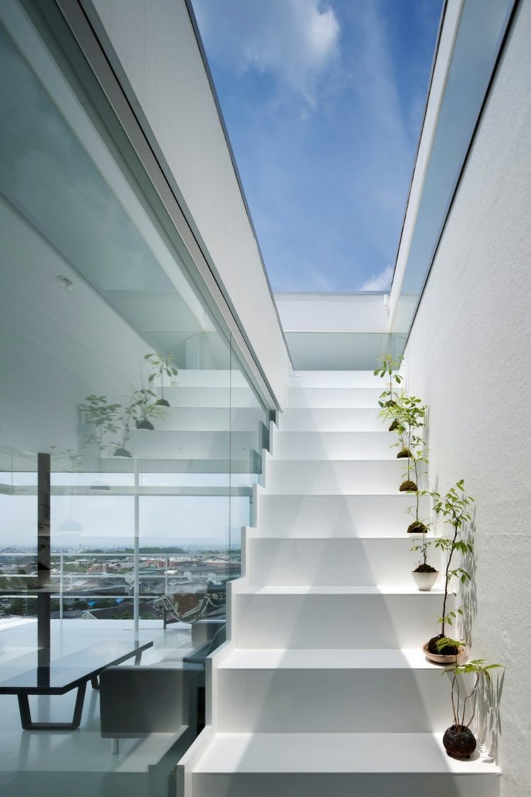 scări în stil minimalist lucarna de sticlă perete plante trepte decor