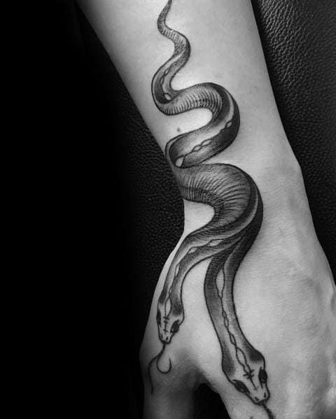 Tatuaggio a due teste di serpente a portata di mano