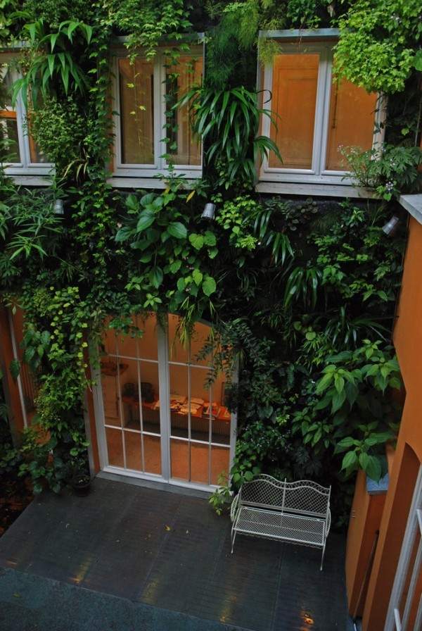 Patrick Blanc casa Franța fațadă plante suspendate