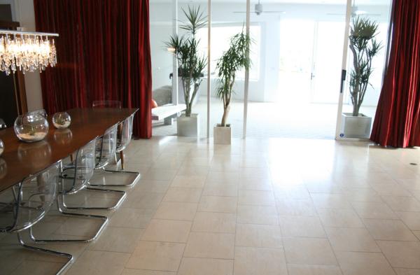 Ecran de confidențialitate plante de perete verde-plante în ghivece idei Idei de protecție a confidențialității cu plante verzi cu ghivece