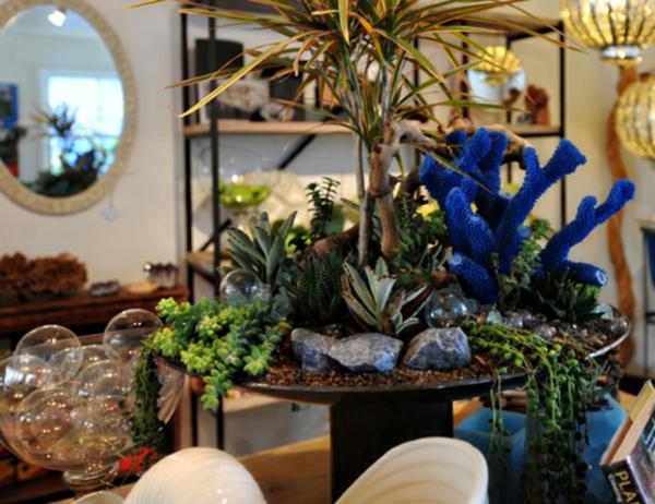 Flori gradina amenajare suculente moderne Flori gradina suculente moderne aranjament interior