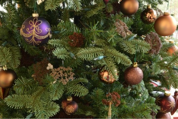 alege sfaturi de pom de Crăciun bile maro de molid