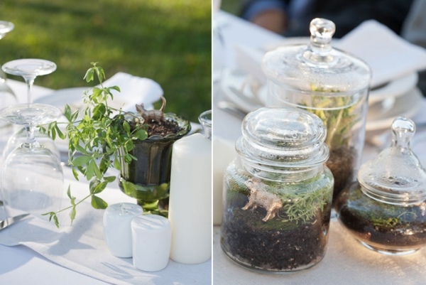 În acest fel plantele rezistă mai mult terariu-idee-nuntă-masă-decorare-salvare