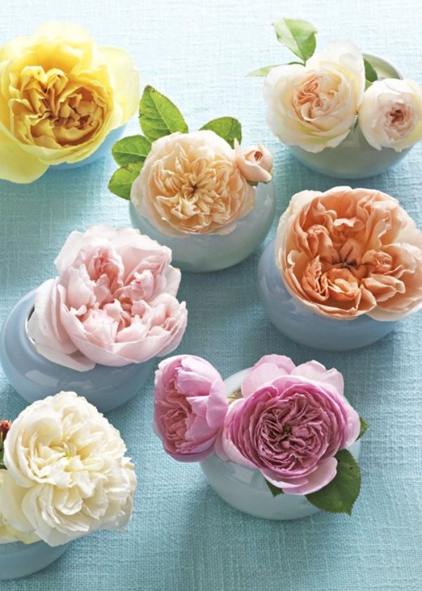 Soluții individuale de culoare pentru fiecare masă idee-simplă-pentecost-masă-de-trandafir-decorare-nuntă