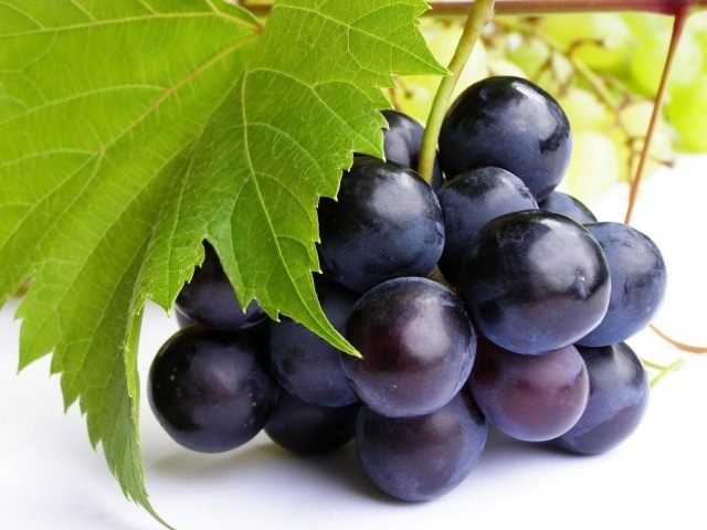 struguri multe soiuri violet verde albastru gălbui struguri multe soiuri culoare gustos dulce gustos
