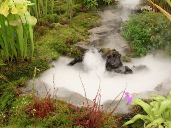 Idea de proiectare a grădinii de apă abur Ideea de proiectare a grădinii de apă