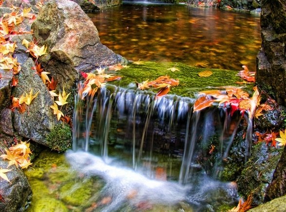 frumoasa gradina de apa toamna frumoasa gradina cu apa