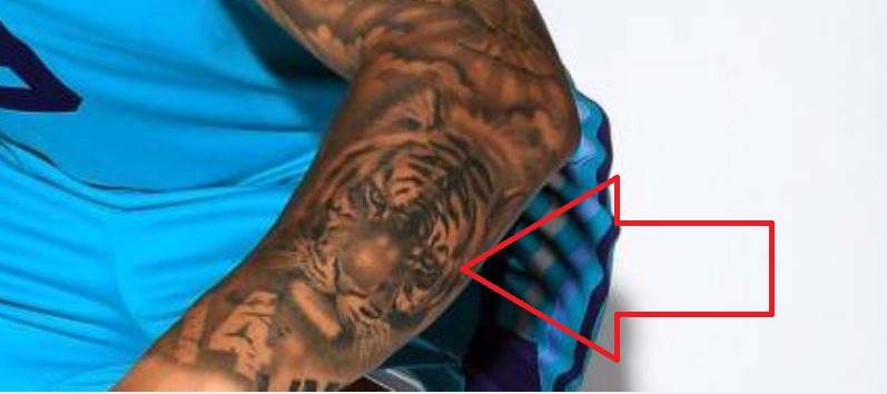 Le tatouage du tigre Willy