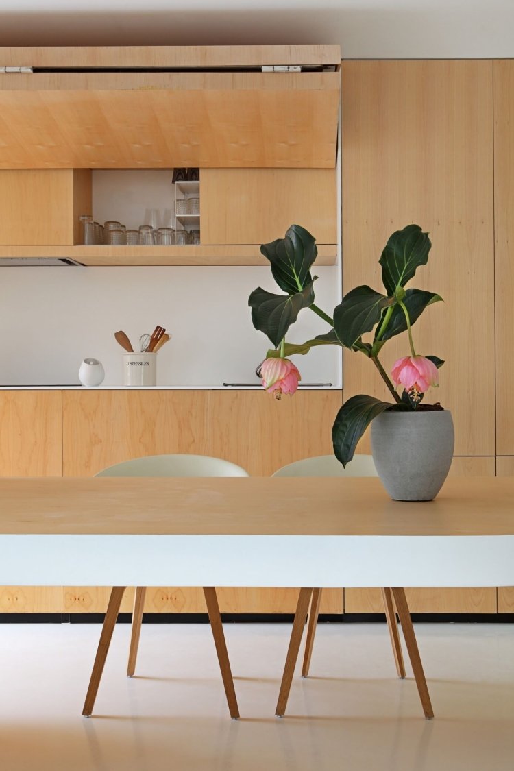 living-in-white-wood-modern-dining-place-built-in bucatarie-ridicare-usi-design