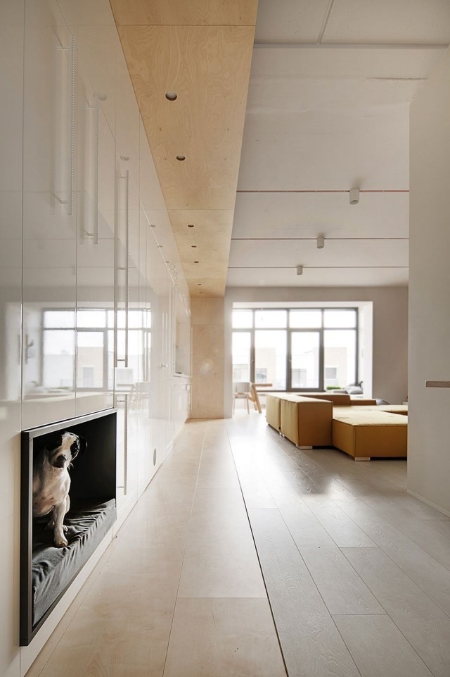 apartament-design-living-zona-câine-pat-perete-încorporat-în-dulap