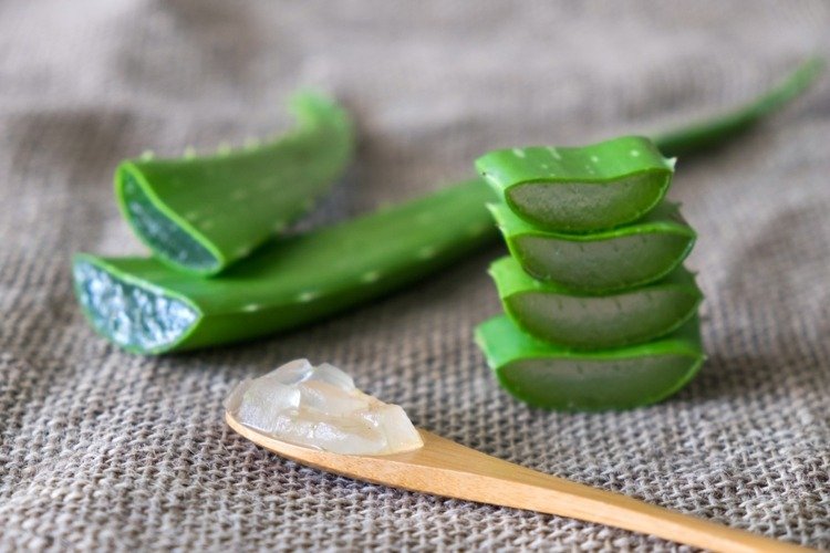 Faceți-vă masca de foi din aloe vera proaspătă pentru îngrijirea hidratantă