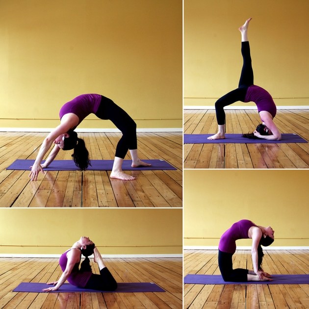 sunt disponibile stiluri de yoga profesionale flexibile pentru femei tipurile de yoga profesionale flexibile pentru femei arată interesant