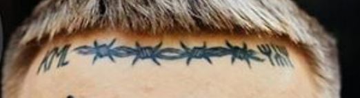 Yzomandias bodljikava žica